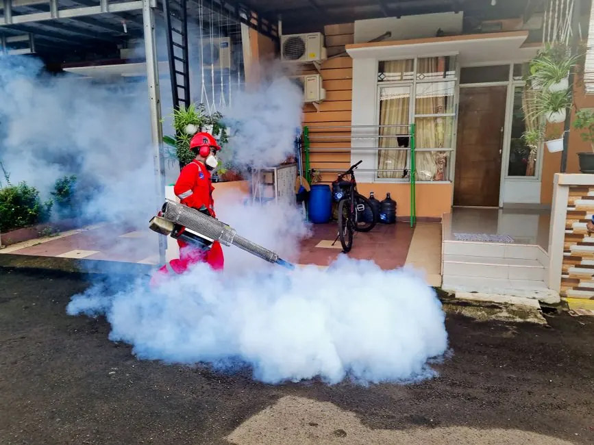 Dependable pest control across paramount, California
